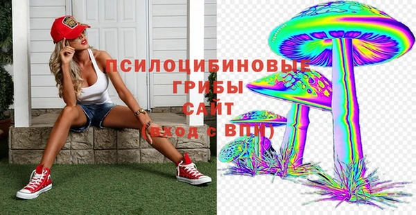 МДПВ Протвино