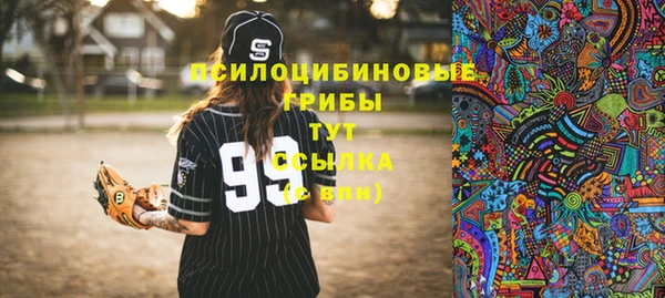 МДПВ Протвино