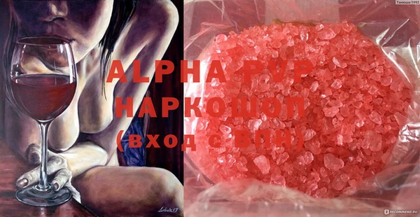 ECSTASY Лабытнанги