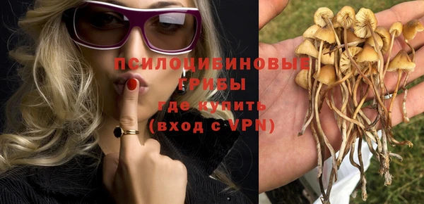 МДПВ Протвино