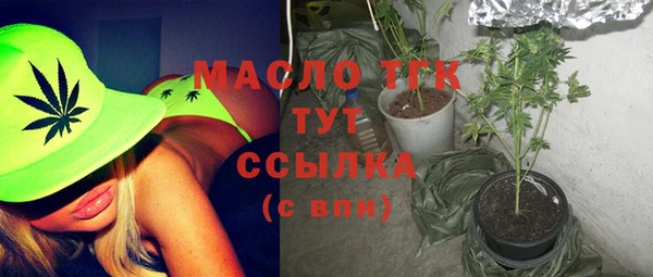 МДПВ Протвино