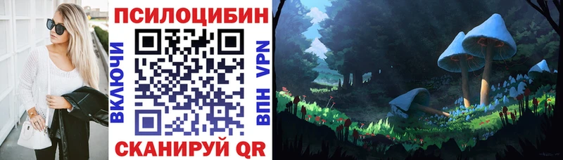 мориарти официальный сайт  Луга  Галлюциногенные грибы MAGIC MUSHROOMS 