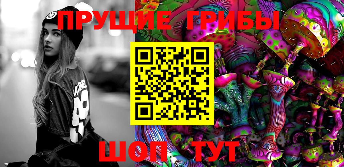 Псилоцибиновые грибы ЛСД  Вход с VPN  Псилоцибиновые грибы Psilocybe  Луга 